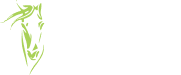 Ballintogher Equestrian Services